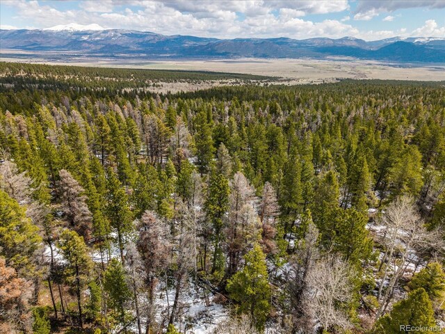 24900 County Road 339, Buena Vista, CO 81211