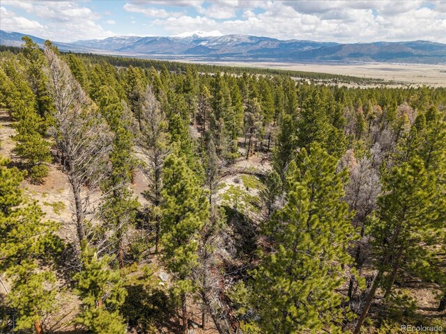 24900 County Road 339, Buena Vista, CO 81211