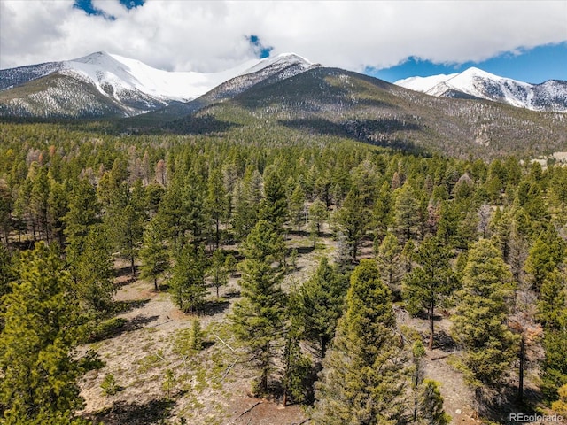 24900 County Road 339, Buena Vista, CO 81211