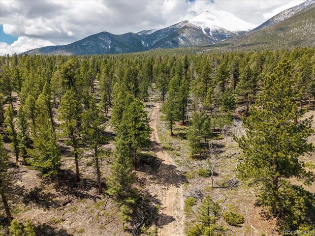 24900 County Road 339, Buena Vista, CO 81211