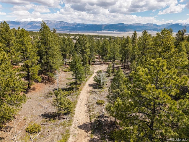 24900 County Road 339, Buena Vista, CO 81211