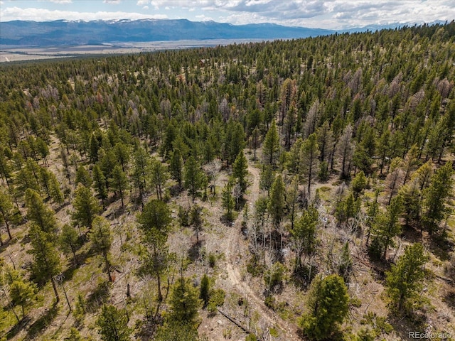 24900 County Road 339, Buena Vista, CO 81211