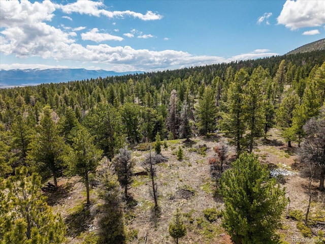 24900 County Road 339, Buena Vista, CO 81211