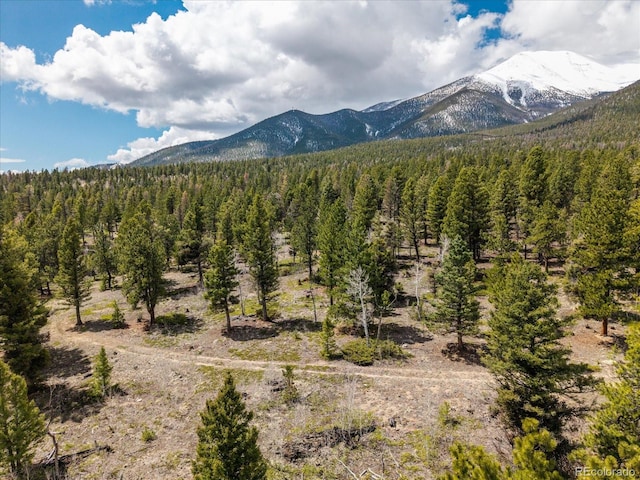 24900 County Road 339, Buena Vista, CO 81211