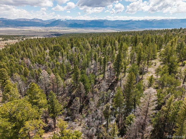 24900 County Road 339, Buena Vista, CO 81211