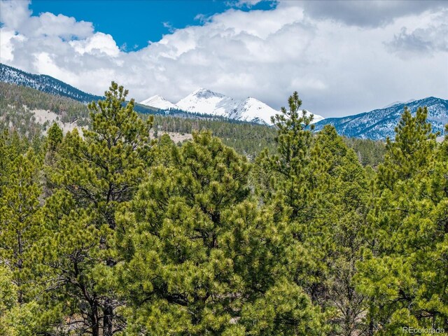 24900 County Road 339, Buena Vista, CO 81211