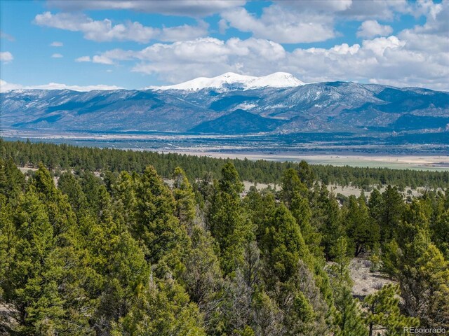 24900 County Road 339, Buena Vista, CO 81211