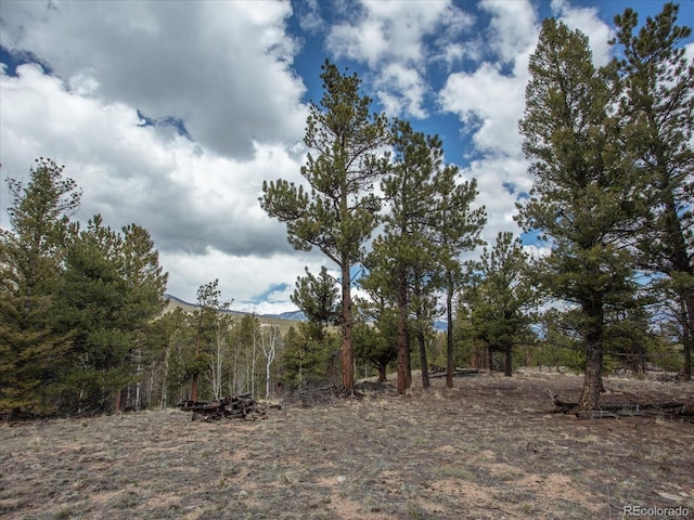 24900 County Road 339, Buena Vista, CO 81211