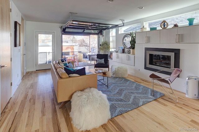 living room with light hardwood / wood-style flooring