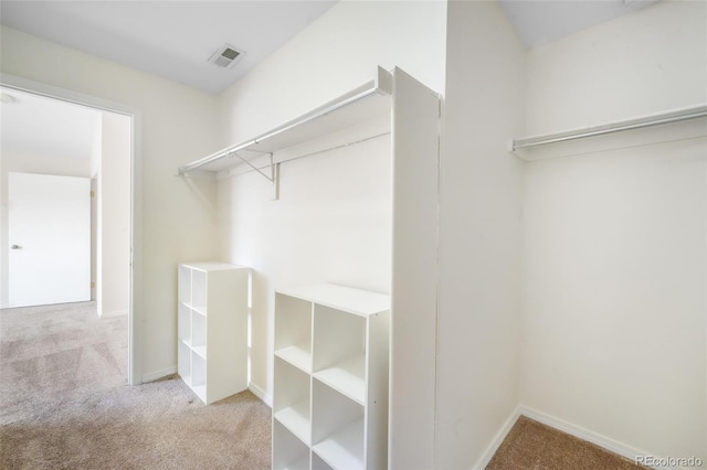 2172 Denton Grv Unit 203, Colorado Springs, CO 80919 - spacious closet with carpet and visible vents