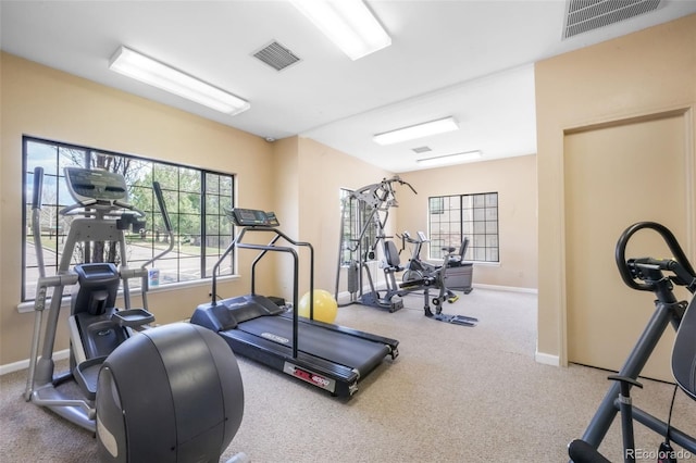 2172 Denton Grv Unit 203, Colorado Springs, CO 80919 - workout room with visible vents, a healthy amount of sunlight, and carpet floors