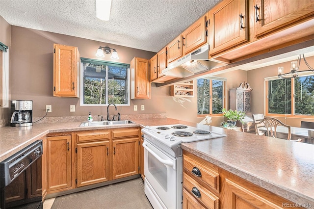 kitchen with sink, a textured ceiling, black dishwasher, and white electric range oven