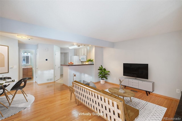 living room with light hardwood / wood-style flooring