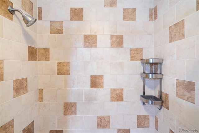 room details with tiled shower