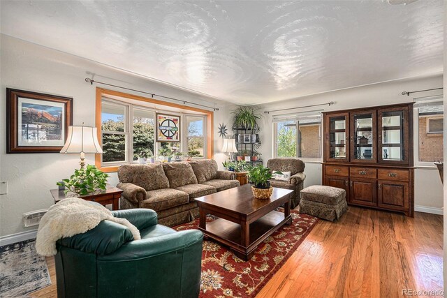 living room featuring wood finished floors and baseboards