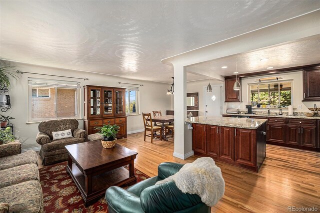 living area featuring light wood-style floors, healthy amount of natural light, and baseboards