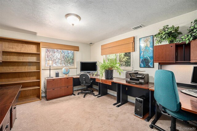 office featuring light carpet and a textured ceiling