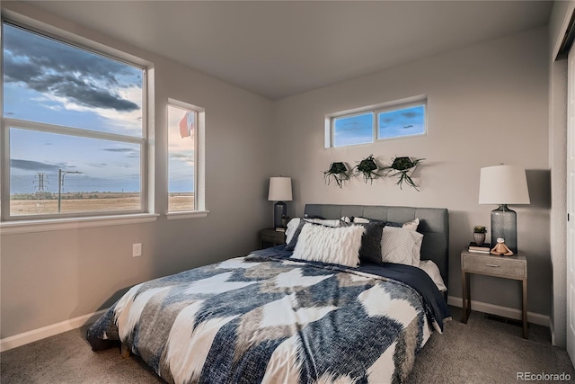 6309 N Hanover St, Denver, CO 80238 - carpeted bedroom with multiple windows and baseboards