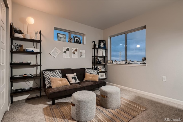 6309 N Hanover St, Denver, CO 80238 - carpeted living room with baseboards