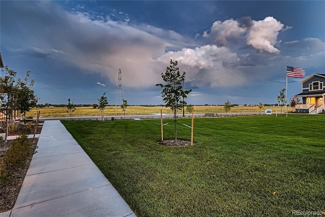 6309 N Hanover St, Denver, CO 80238 - view of grassy yard