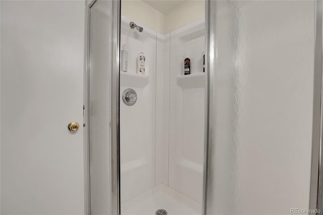 bathroom featuring a shower with shower door