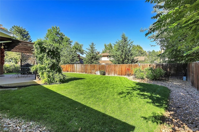 view of yard with a patio area