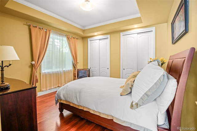 bedroom with ornamental molding, wood-type flooring, multiple closets, and a raised ceiling