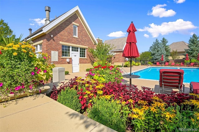 view of pool with a patio