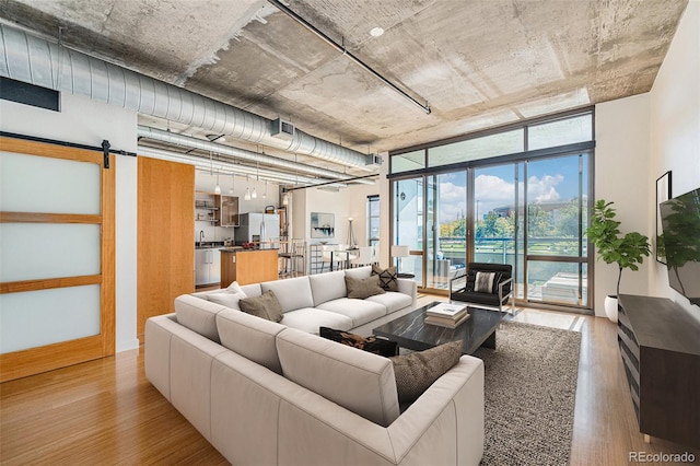 living room with light hardwood / wood-style flooring and a barn door