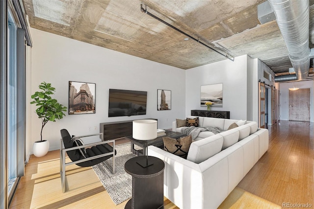 living room with light wood-type flooring and a barn door