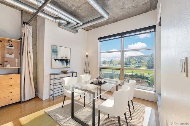 dining space with a healthy amount of sunlight and light hardwood / wood-style flooring