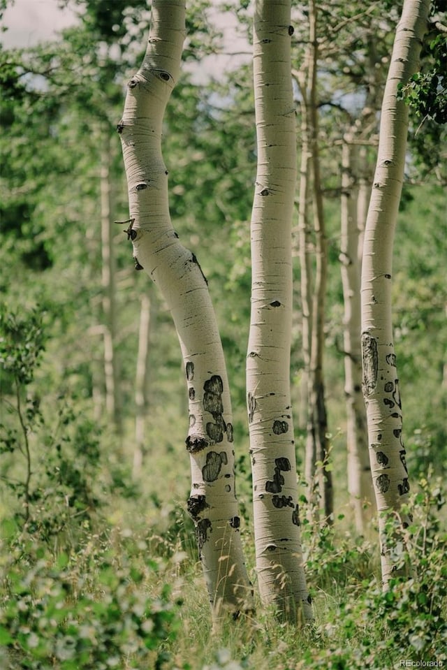 US Highway 285, Fairplay, CO 80440