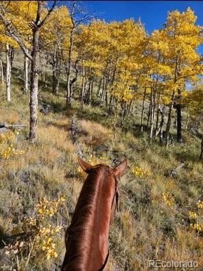 US Highway 285, Fairplay, CO 80440