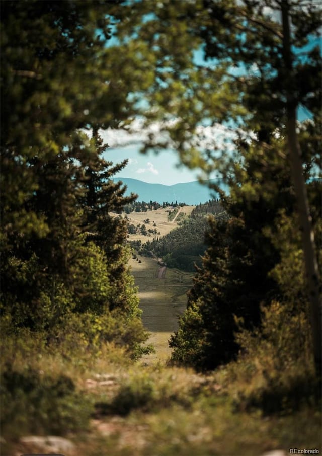 US Highway 285, Fairplay, CO 80440