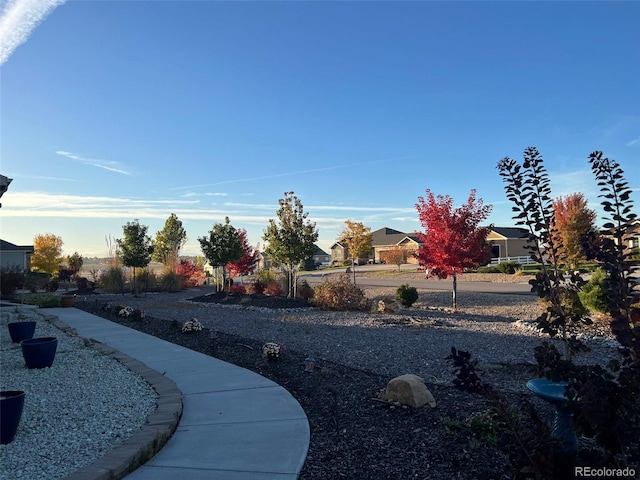 31460 E 162nd Ave, Hudson, CO 80642 - photo 5