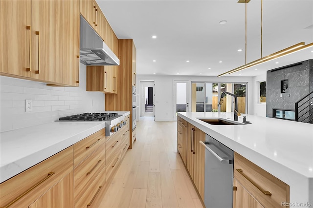 300 S Franklin St, Denver, CO 80209 - kitchen with appliances with stainless steel finishes, under cabinet range hood, modern cabinets, light wood finished floors, and light brown cabinets