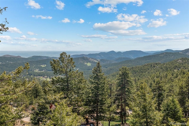 8453 S Scenic Dr, Morrison, CO 80465 - view of mountain backdrop with a heavily wooded area