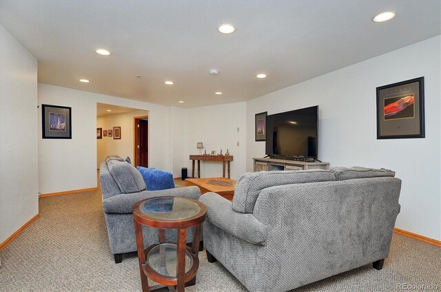 16453 County Road 356-8, Buena Vista, CO 81211