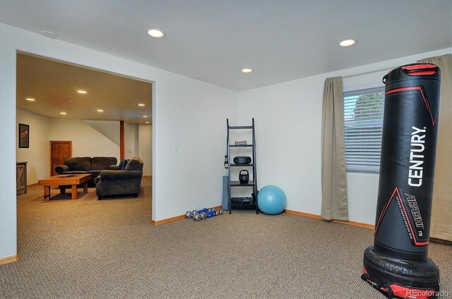 16453 County Road 356-8, Buena Vista, CO 81211