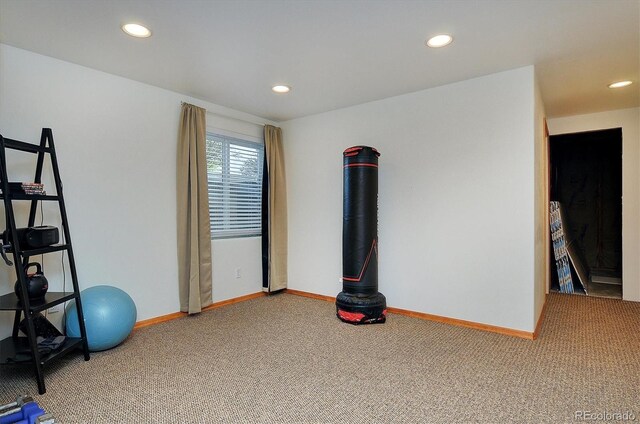 16453 County Road 356-8, Buena Vista, CO 81211