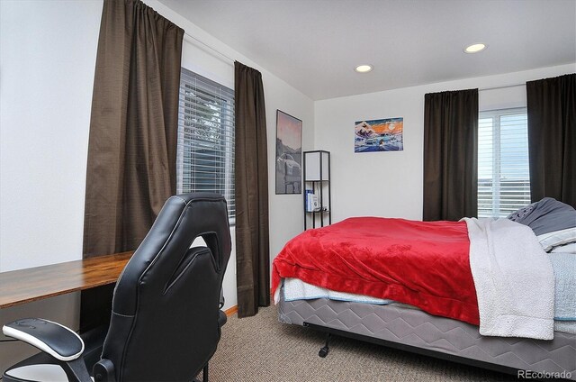 16453 County Road 356-8, Buena Vista, CO 81211