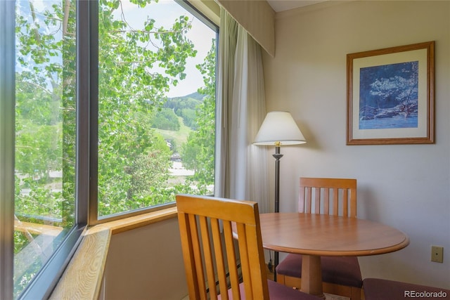6 Emmons Rd Unit 515, Mount Crested Butte, CO 81225 - dining room featuring plenty of natural light