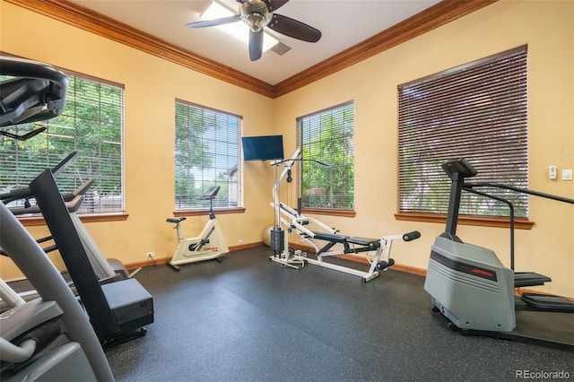 workout room with crown molding and ceiling fan