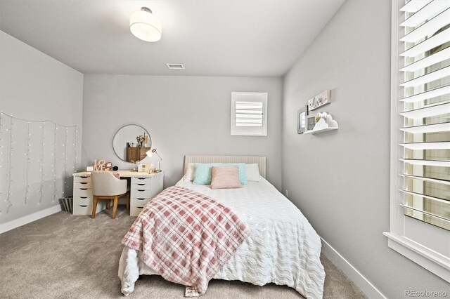 5411 Edenborn Way, Castle Rock, CO 80104 - photo 40