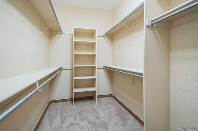 spacious closet with light carpet