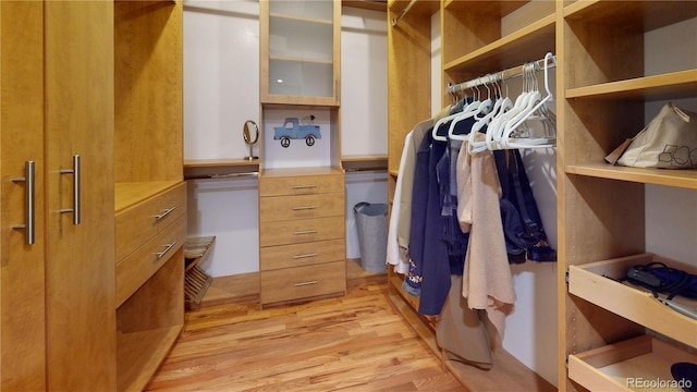 1745 Wazee St Unit 4H, Denver, CO 80202 - walk in closet with light wood-style flooring
