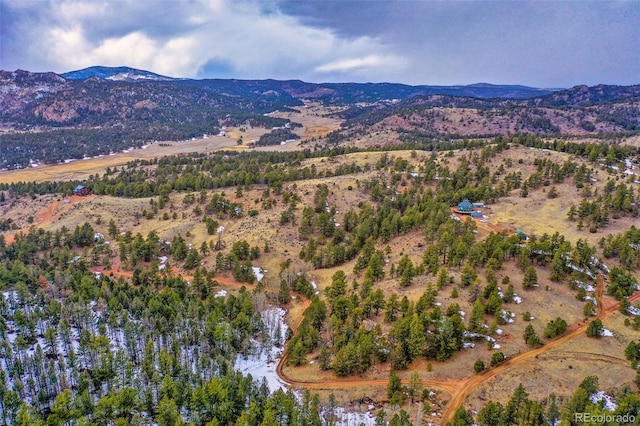 birds eye view of property with a mountain view