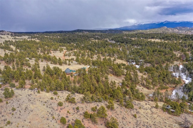 birds eye view of property featuring a mountain view and a view of trees