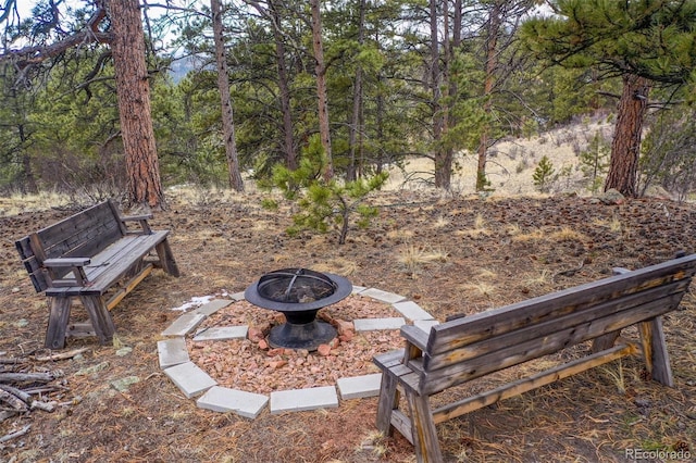 view of yard with a forest view and an outdoor fire pit