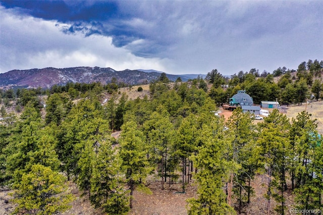 property view of mountains with a forest view